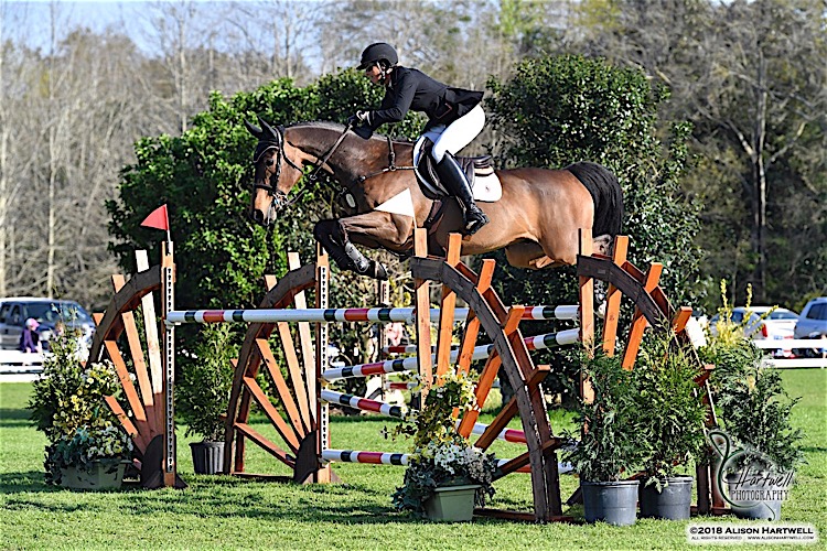Copr.2018AlisonHartwell_GP18-187-288A.jpg