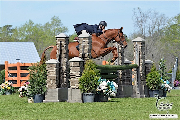 Copr.2018AlisonHartwell_GP18-210-142.jpg