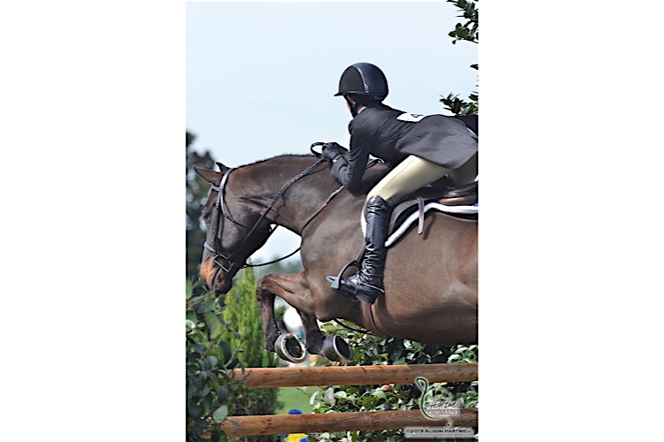 Copr.2019AlisonHartwell_GP15-383-0257_W.jpg
