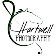 AH logo - transparent copy.jpg