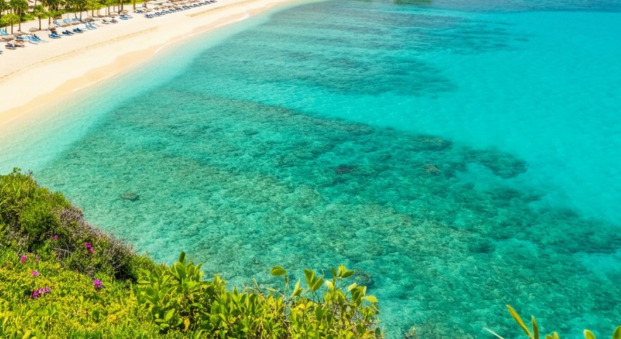 okinawa_ocean.png