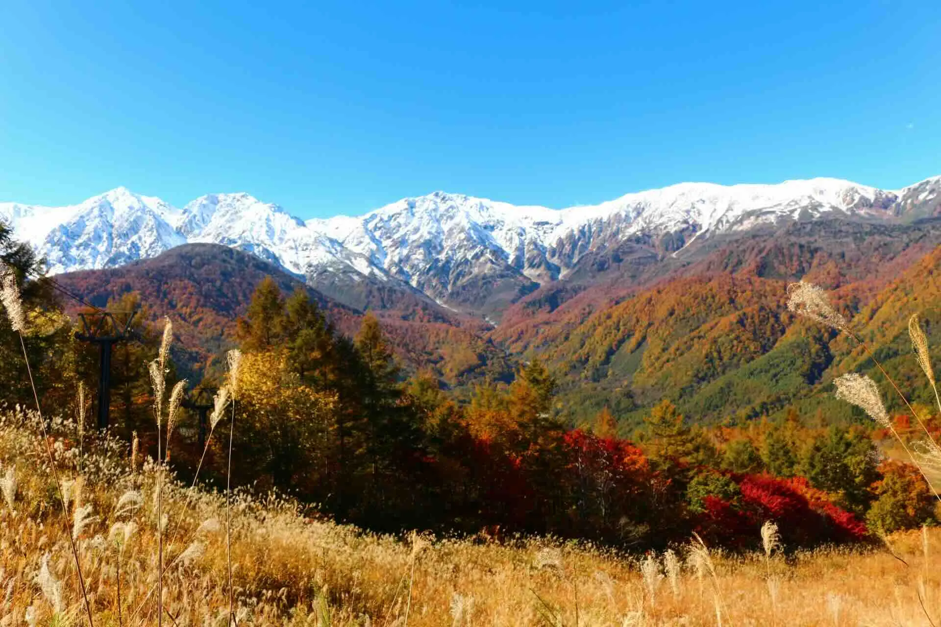 hakuba.webp