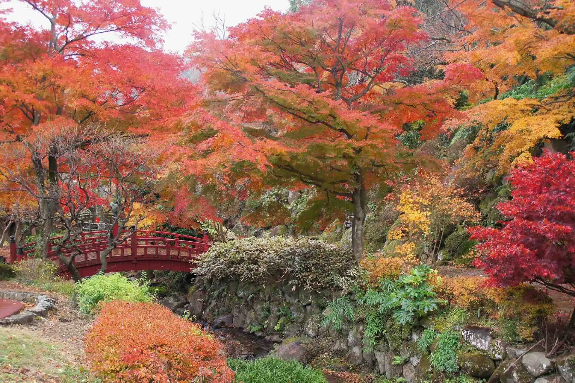 atami_baien.webp