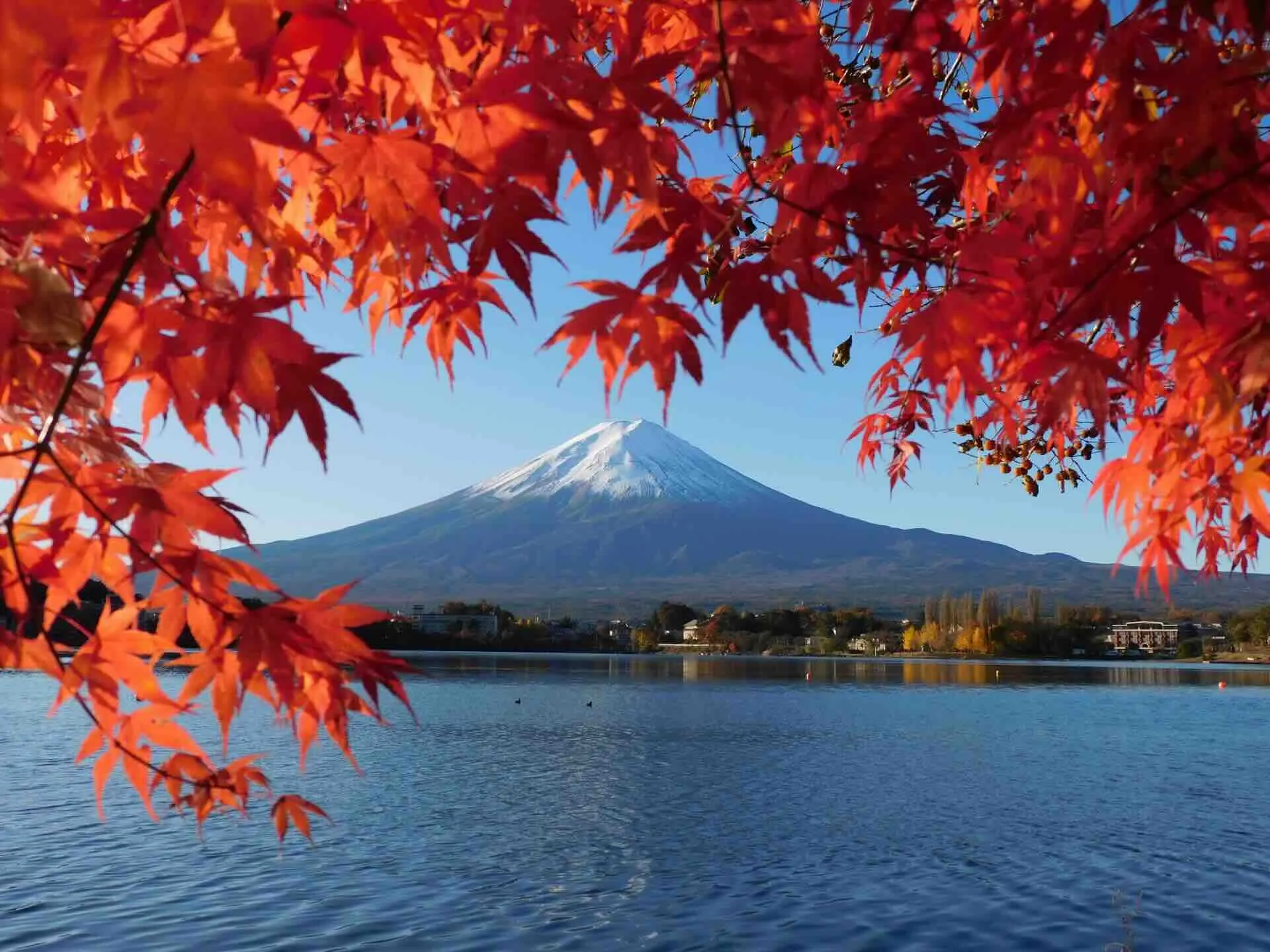 fuji_kawaguchiko.webp