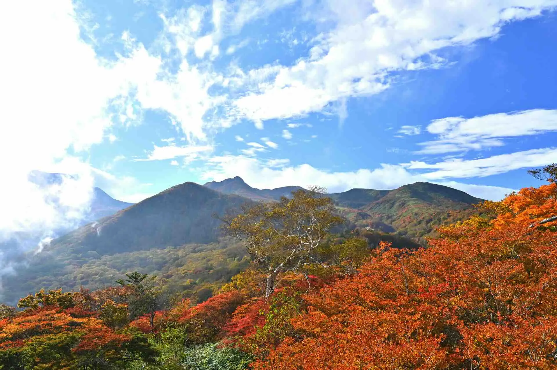 mountjeans_nasu.webp