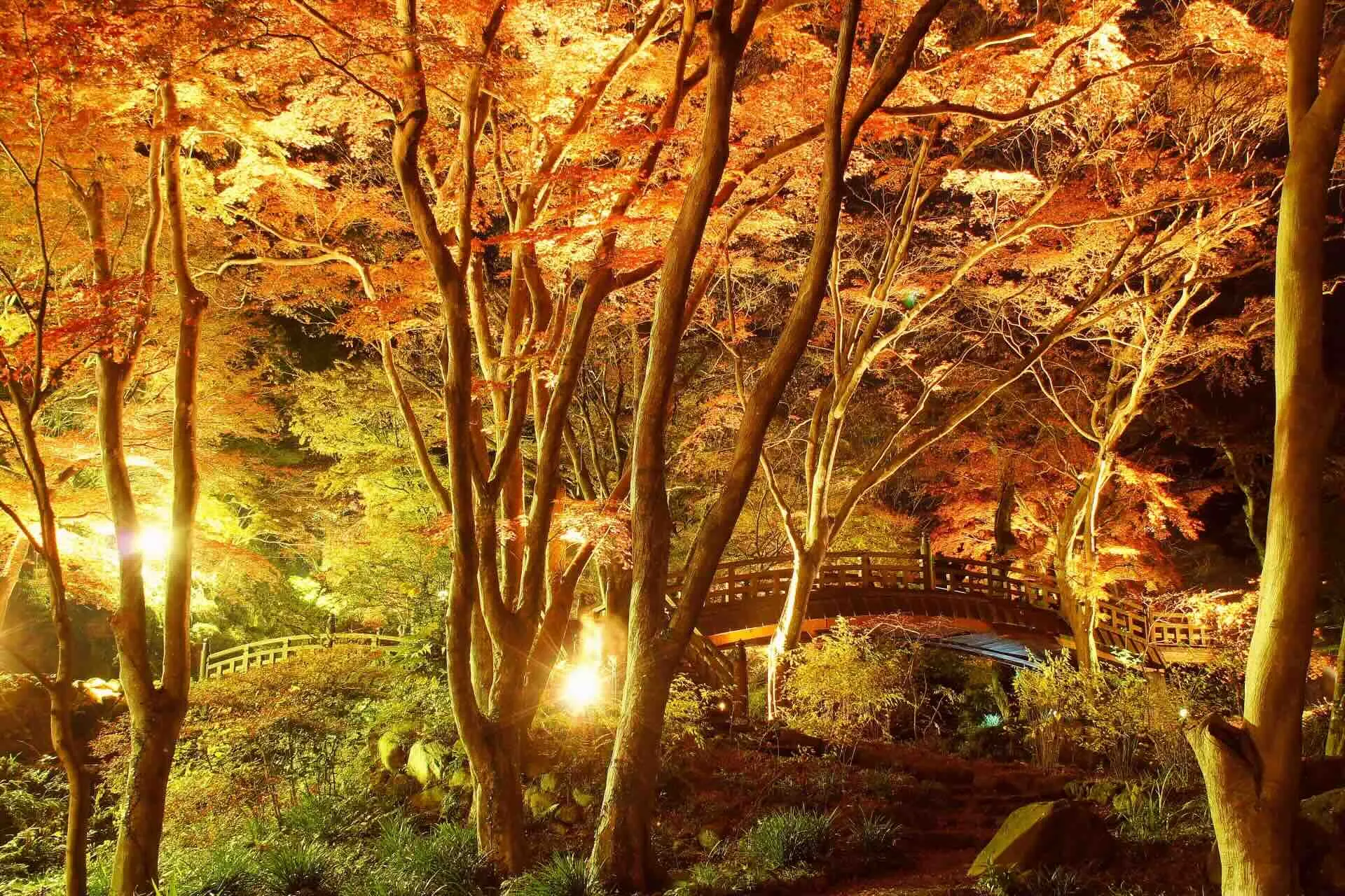 baien_yakei.webp