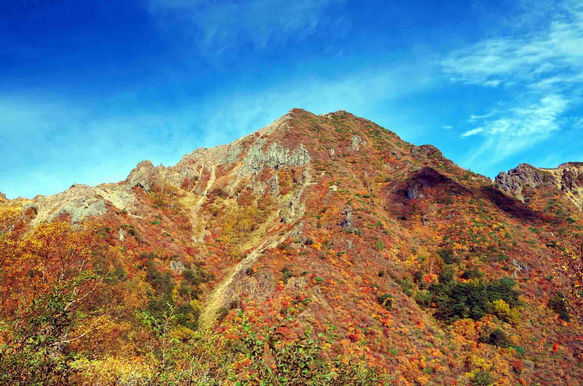 nasukogen.jpeg