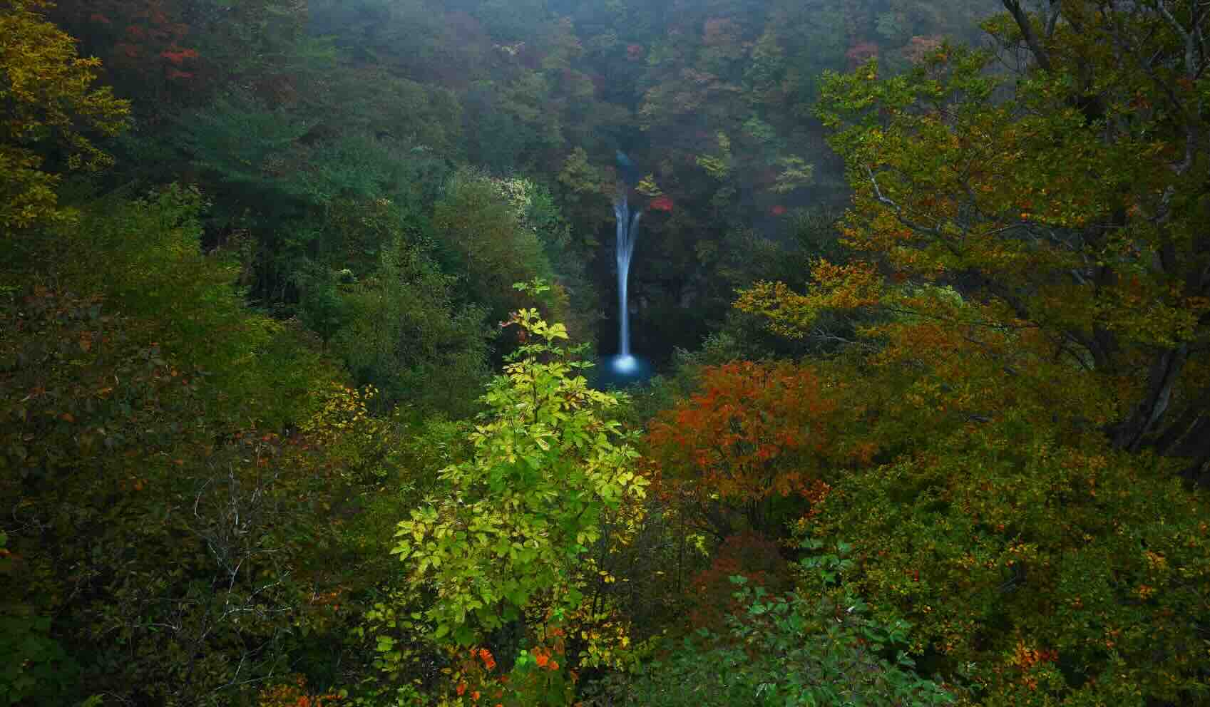 nasu_goyotei.jpg
