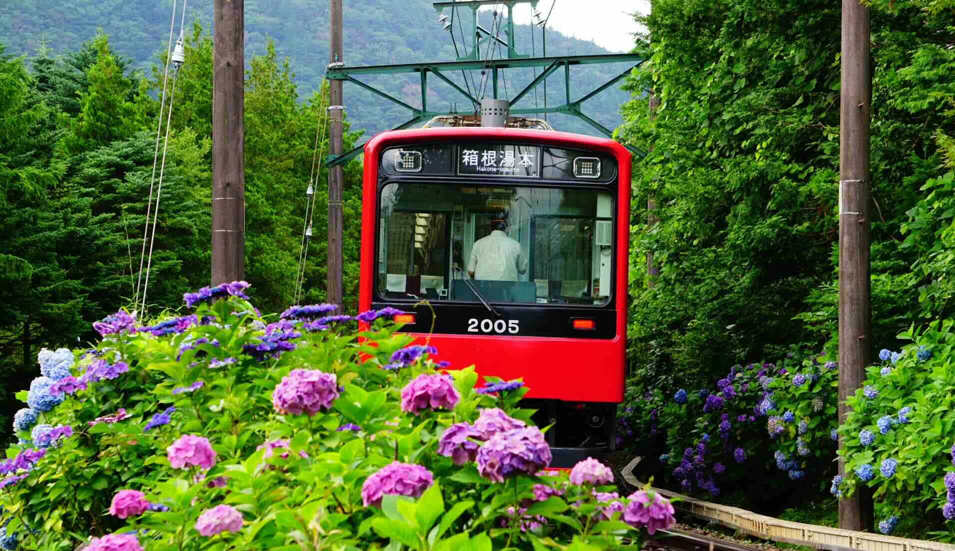 hakone_tozan_train.jpeg