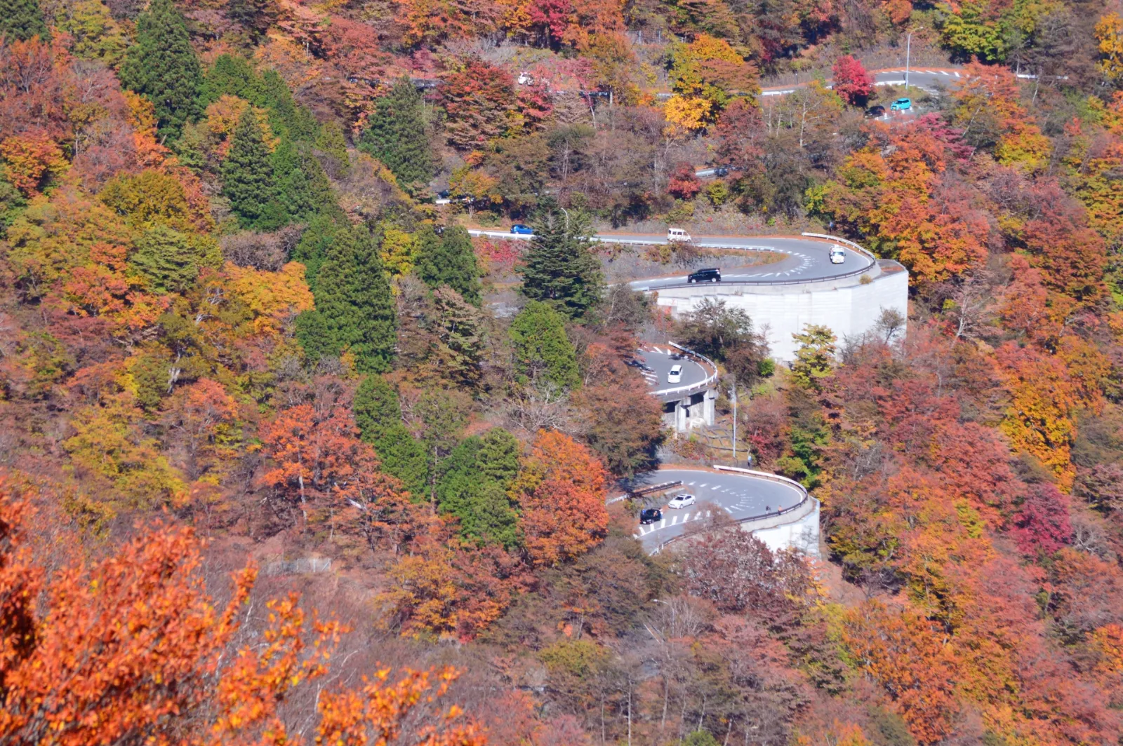 irohazaka_in_autumn.webp