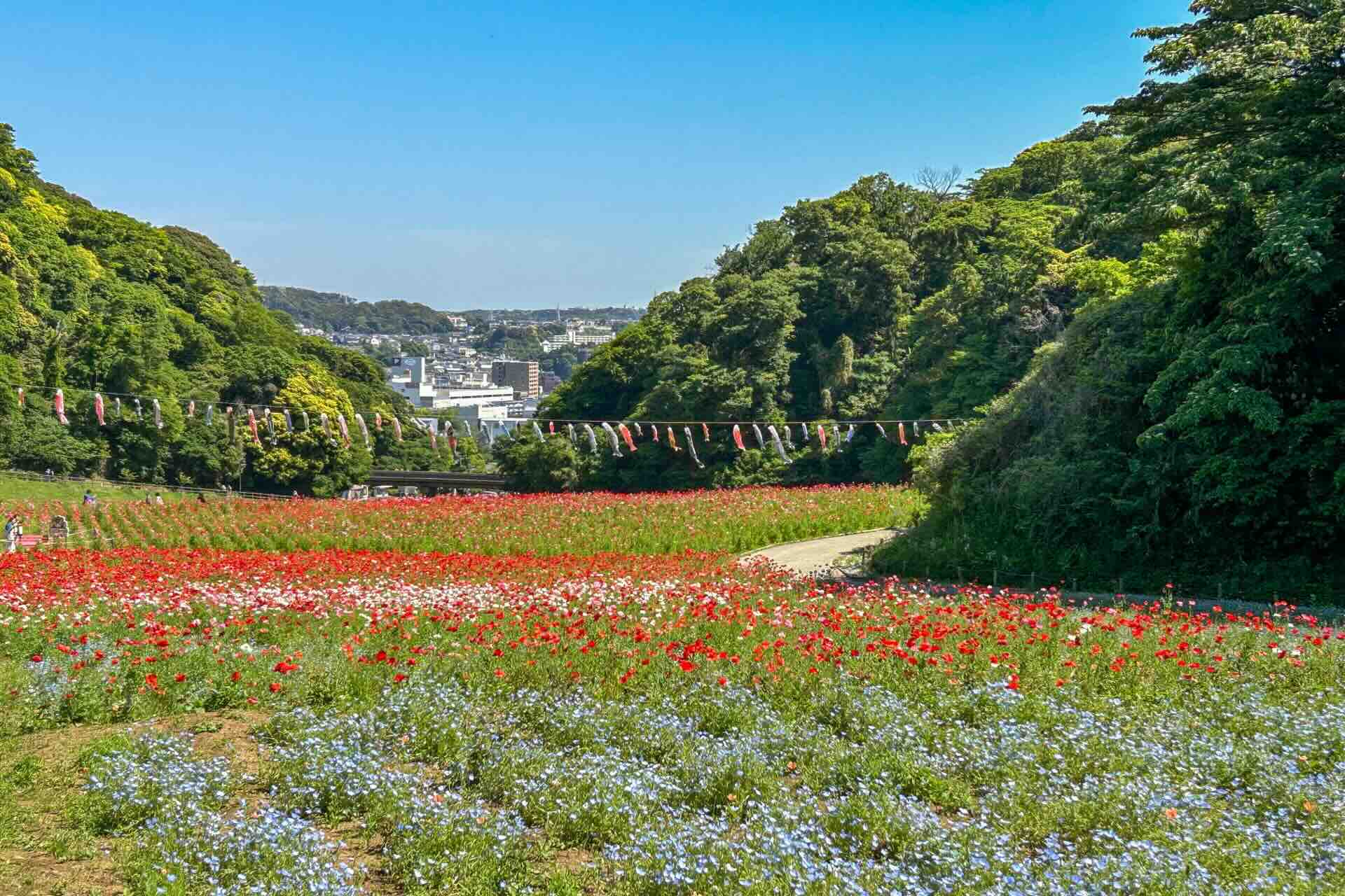 kurihama_hananokuni.webp