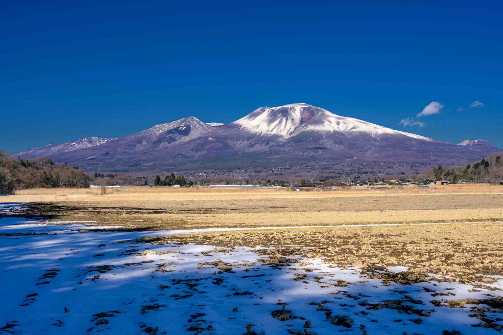 hocchi_asamayama.webp