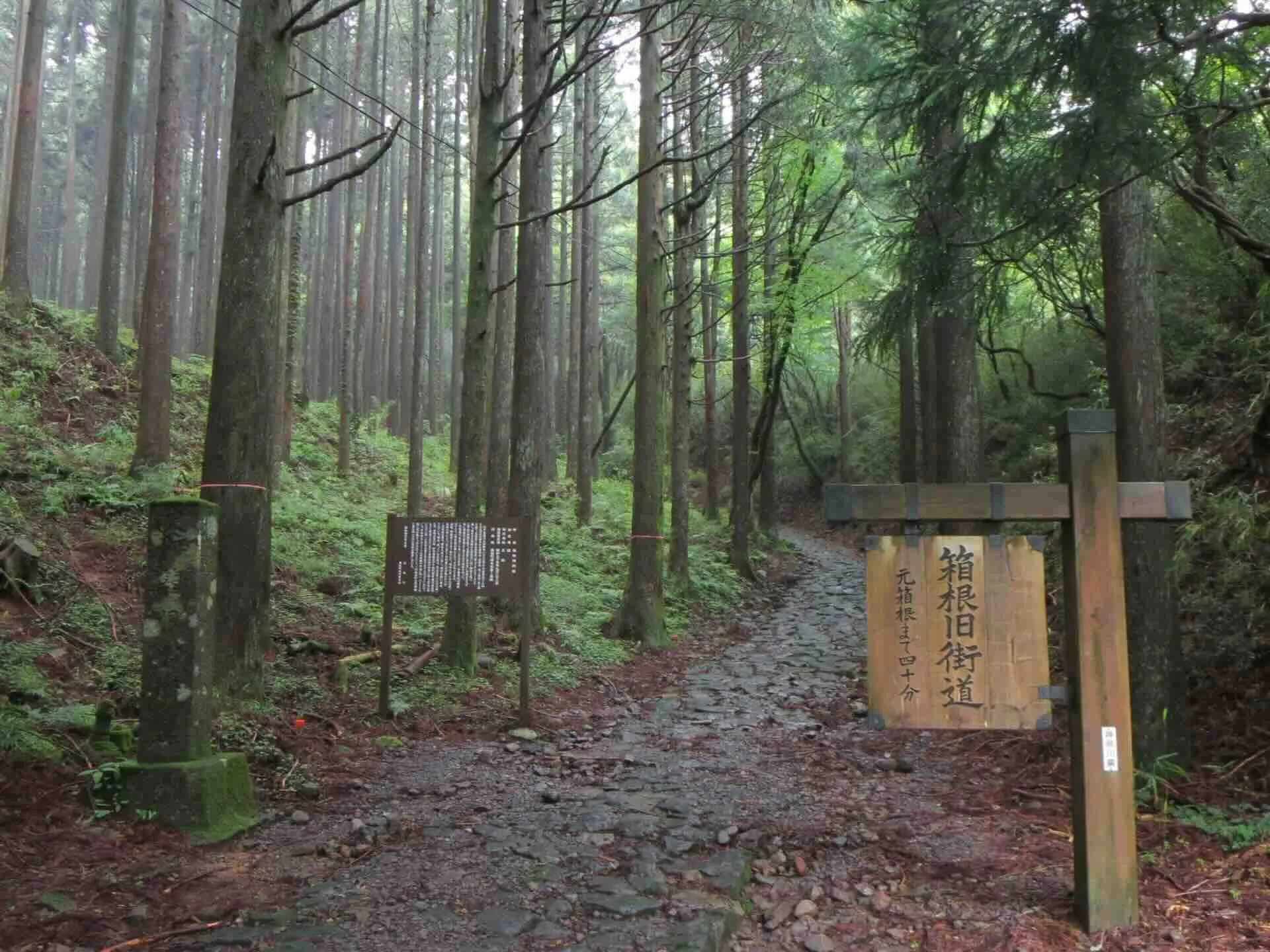 hakone_kyugaido.webp