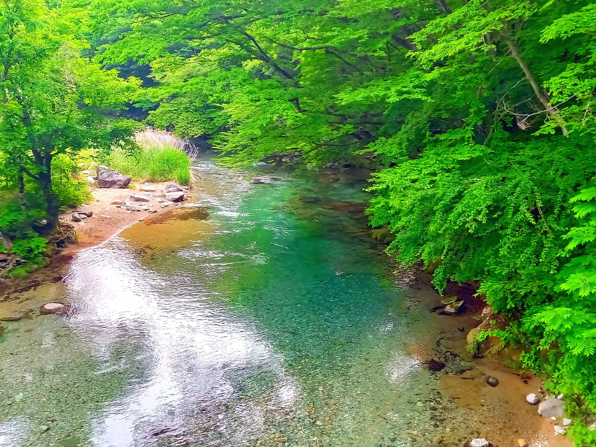 nasukogen_kinomatakeikoku.webp