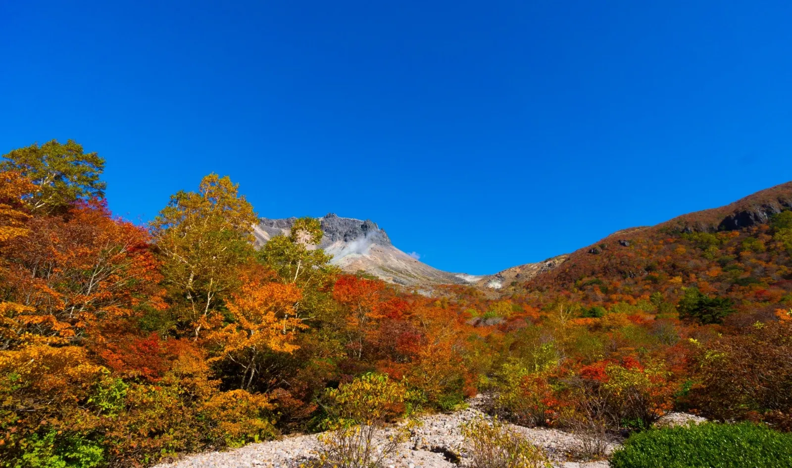 nasu_besso_baikyaku_main.webp