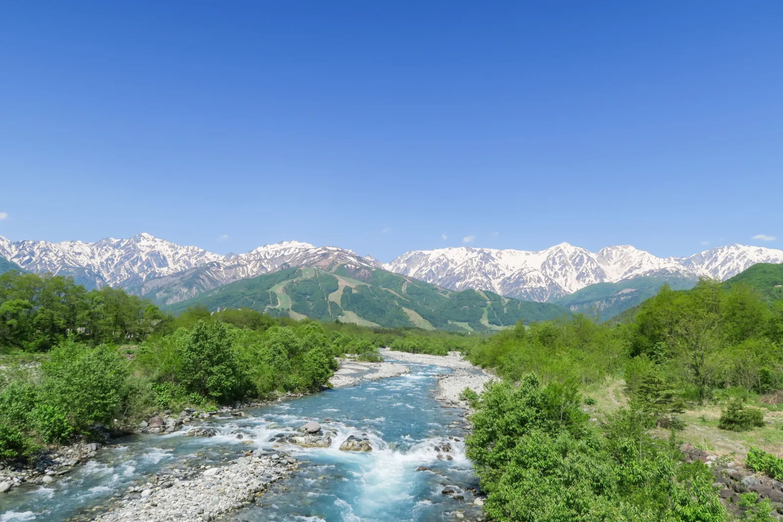 1622407_m.webp