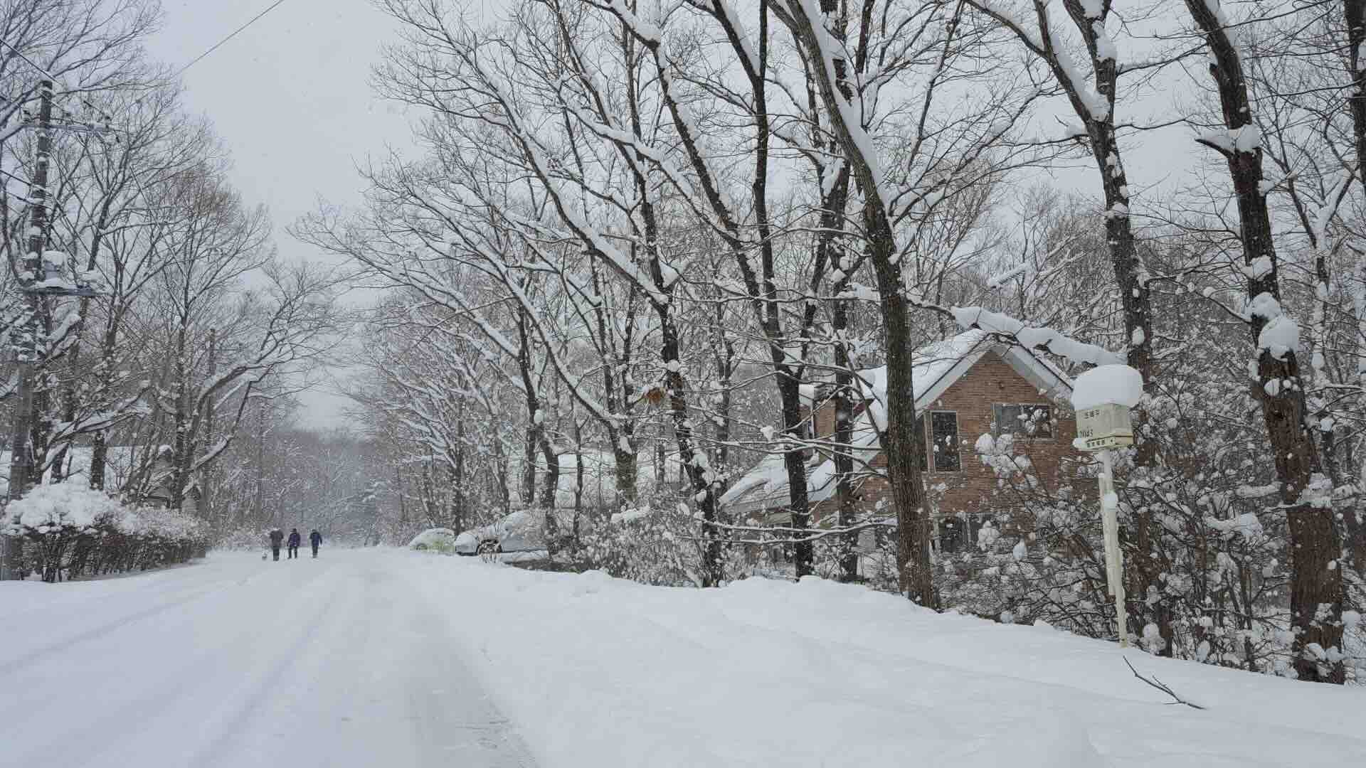 nasu_villa_area_in_winter.jpeg
