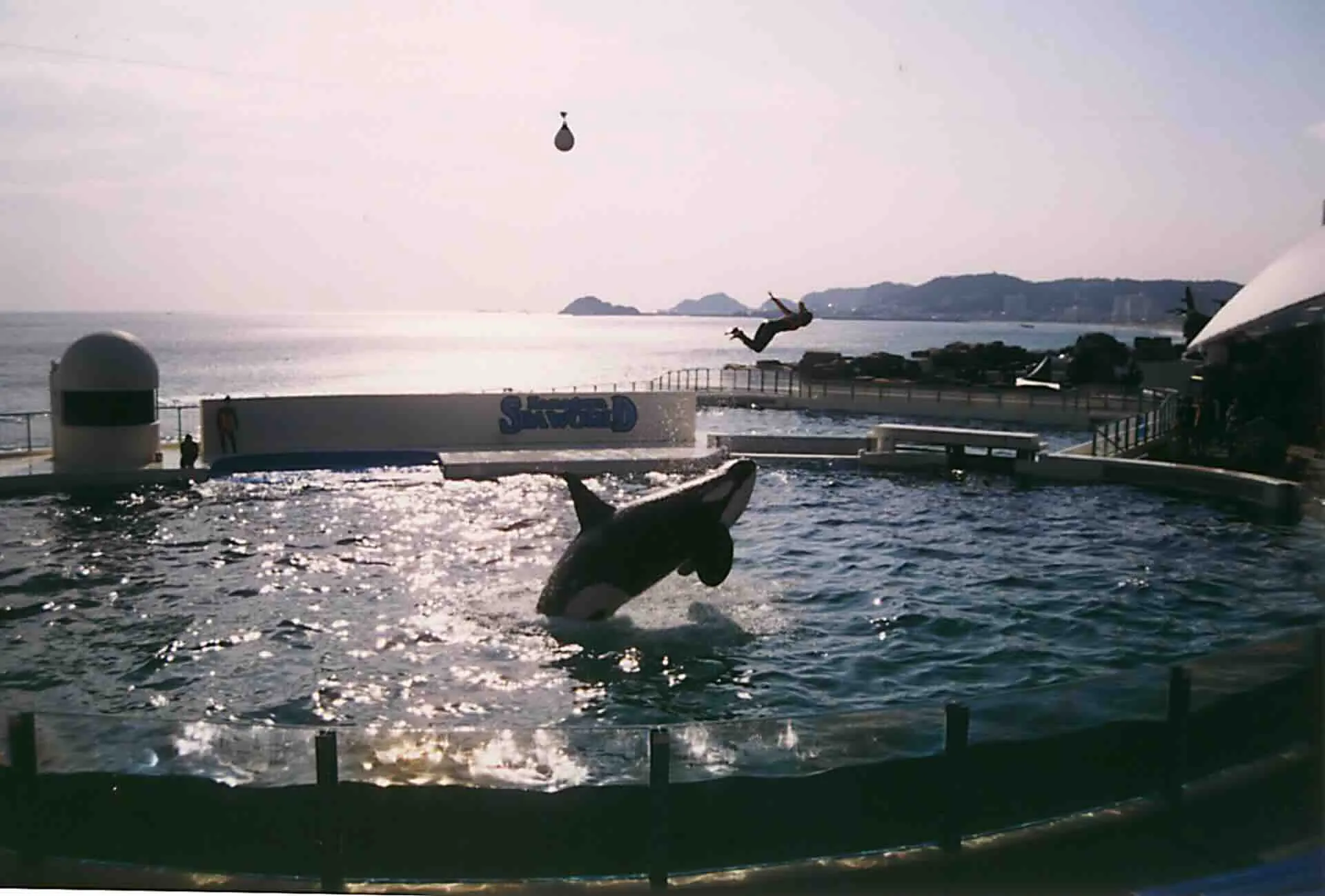 kamogawa_seaworld.webp