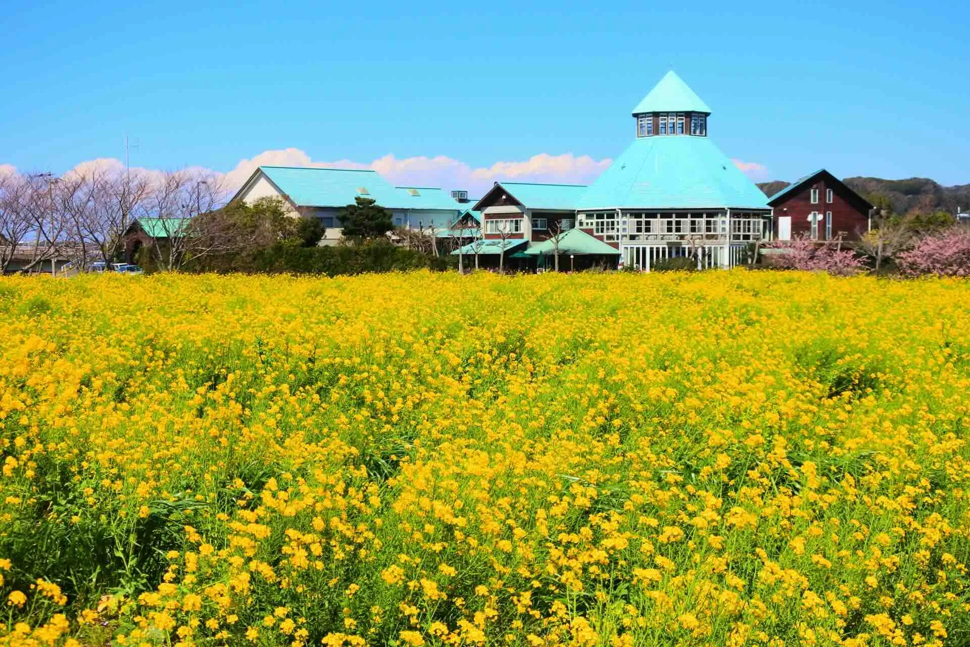 tomiura_biwakurabu.webp