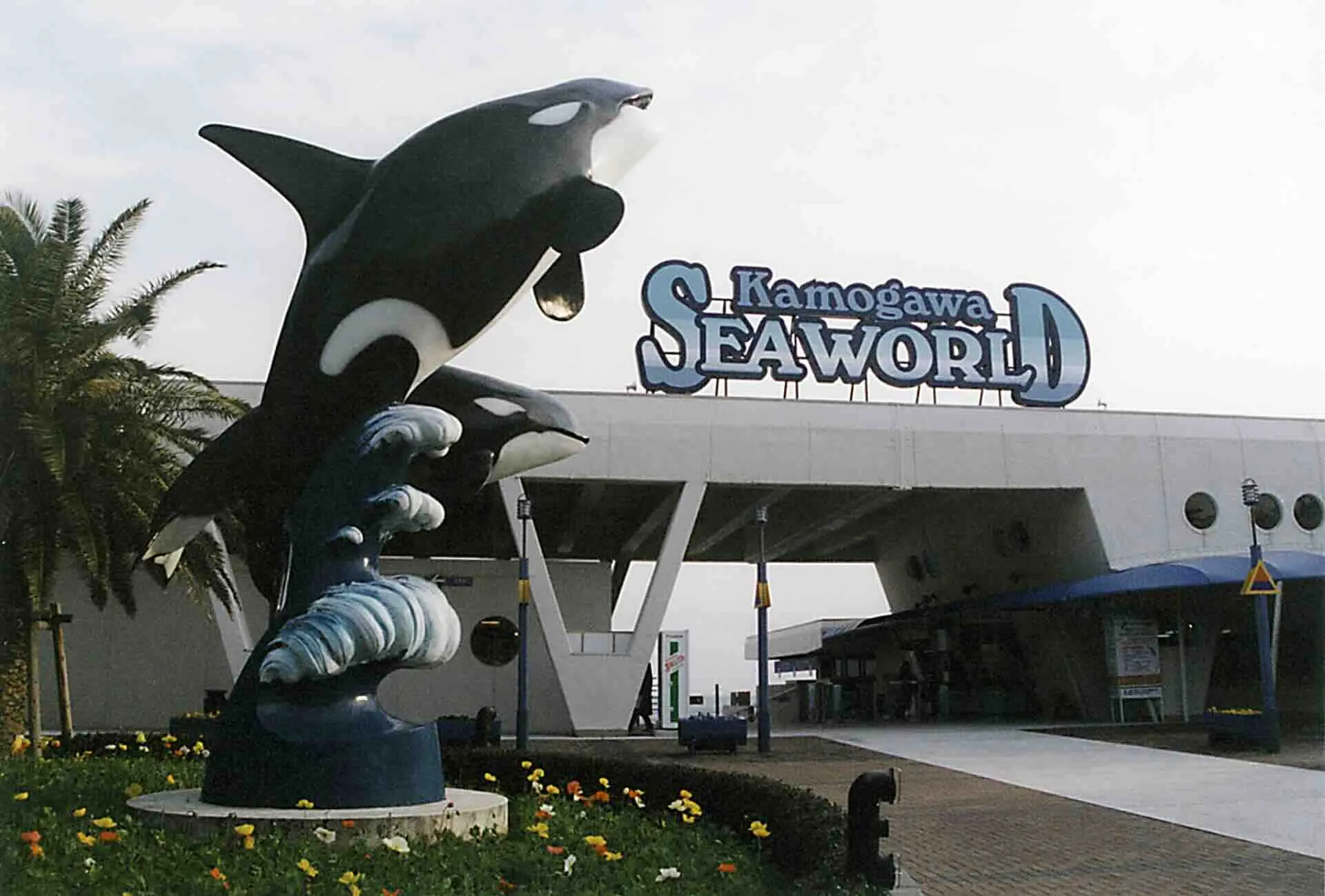 kamogawa_seaworld_2.webp
