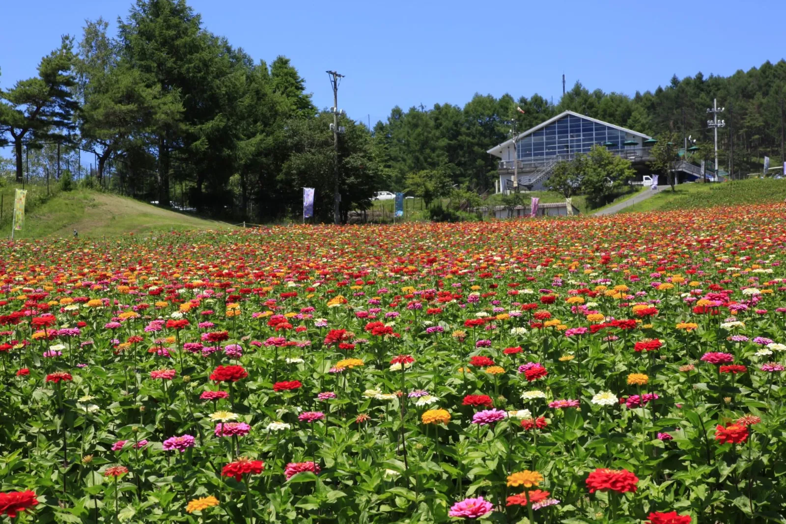 fujimikogen_hananosato.webp