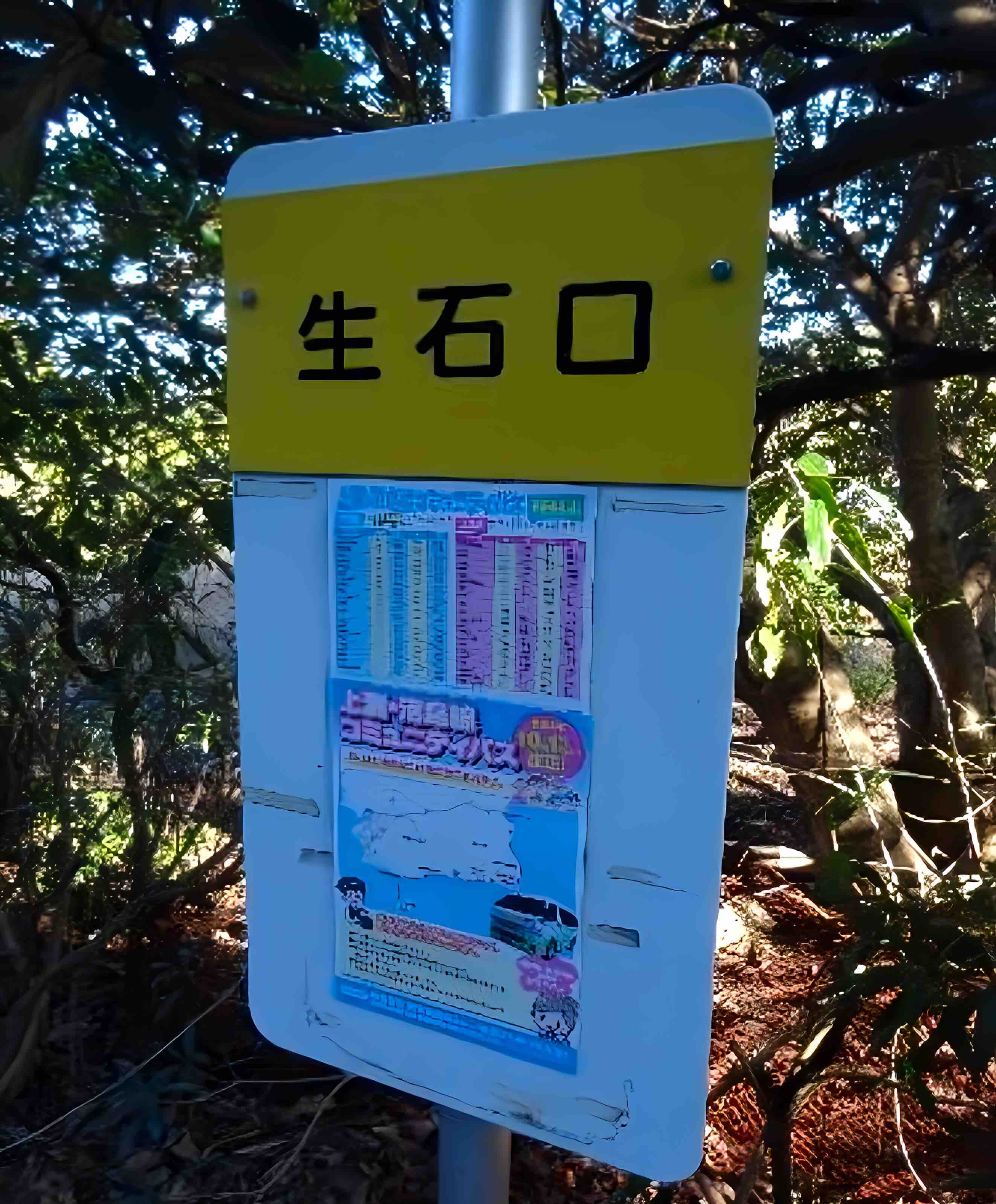 洲本市由良町由良の土地の最寄りのバス停