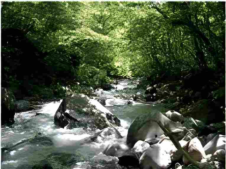 那須高原の別荘の周辺1