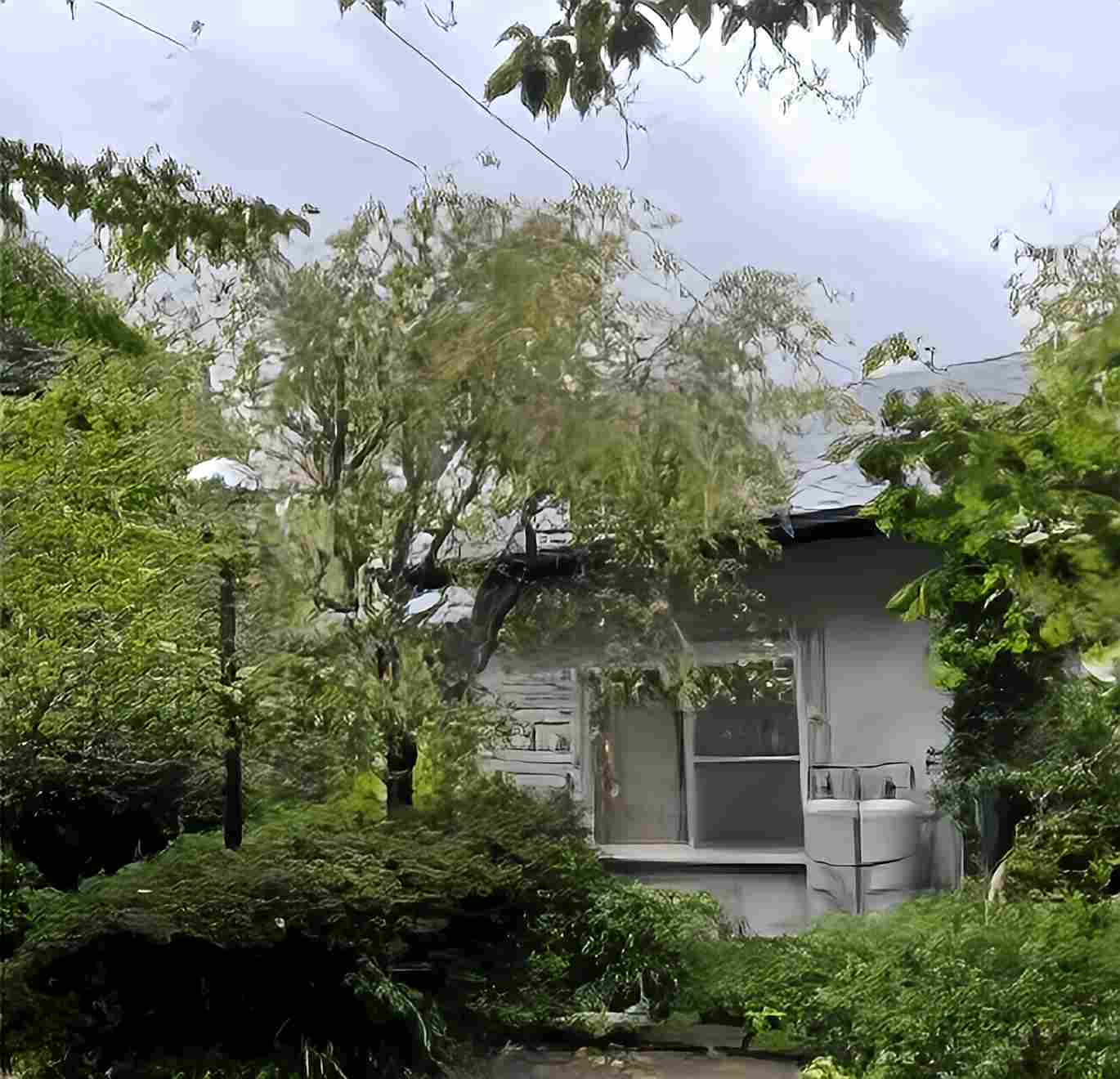 伊東市鎌田丸善ランド別荘地の外観2