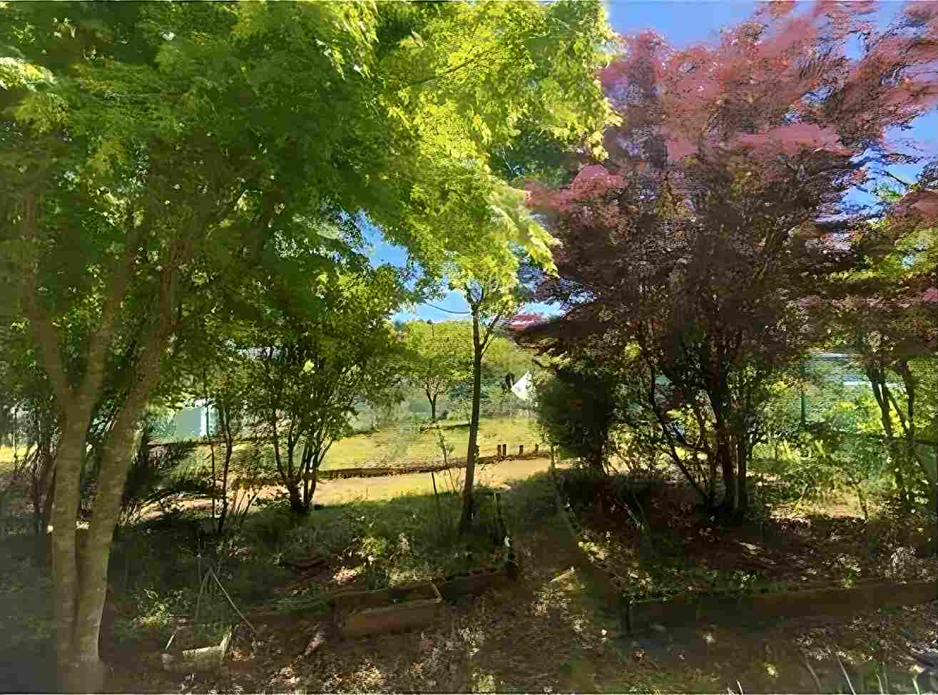 勝浦市上植野の中古戸建の庭