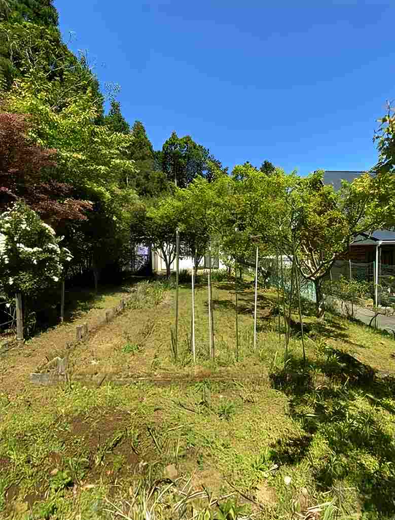 勝浦市上植野の中古戸建の庭2