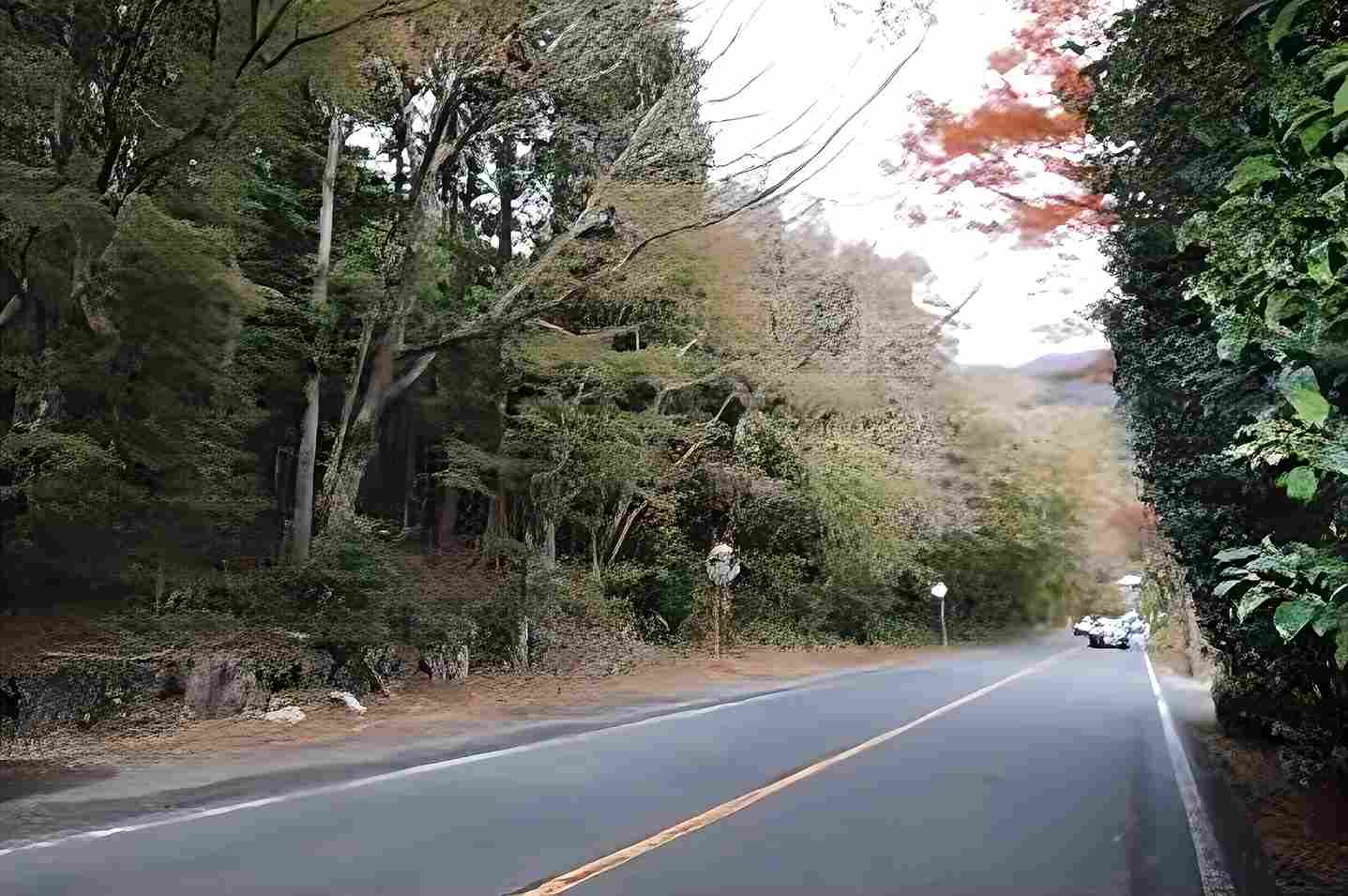箱根町仙石原の土地の外観1