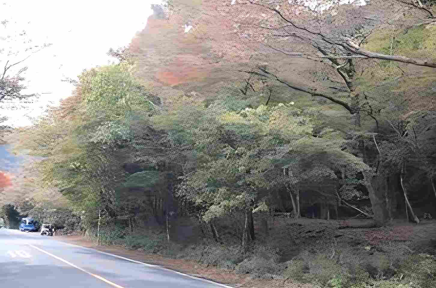 箱根町仙石原の土地の外観2