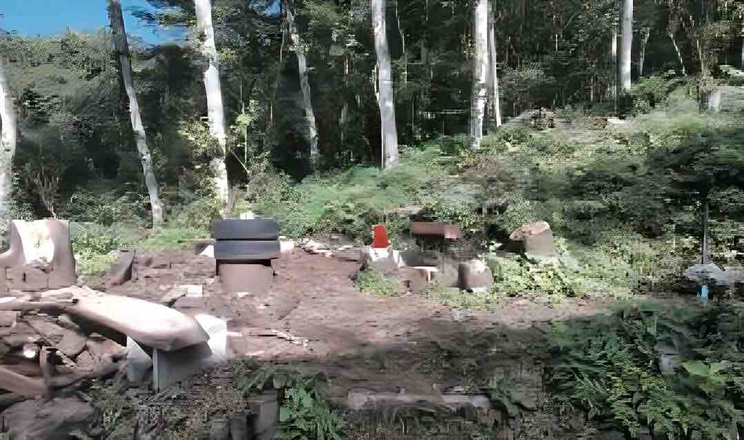 長野県北佐久郡軽井沢町の物件の周辺画像