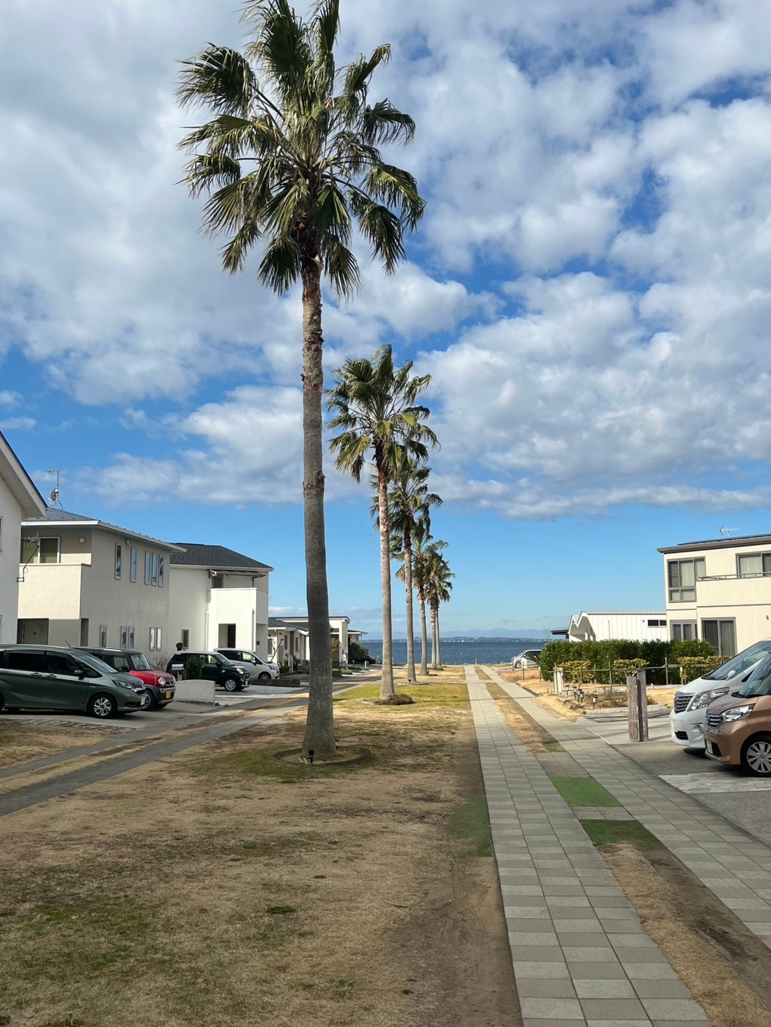 南房総高崎戸建の周辺