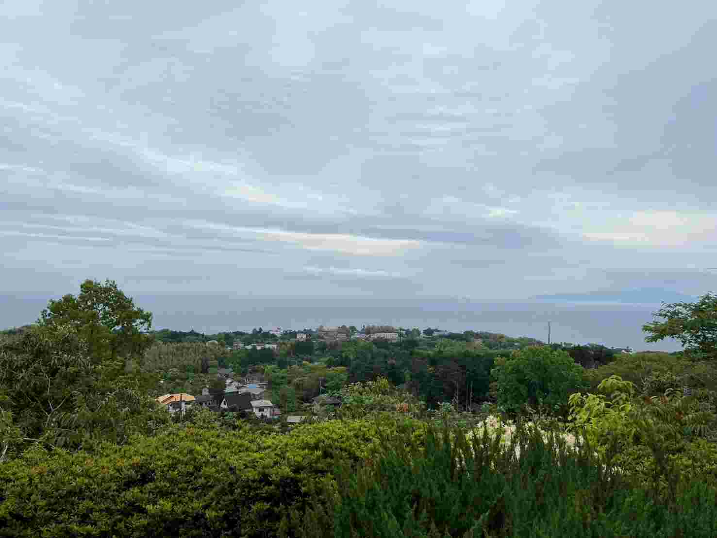 伊豆高原の別荘からの景色
