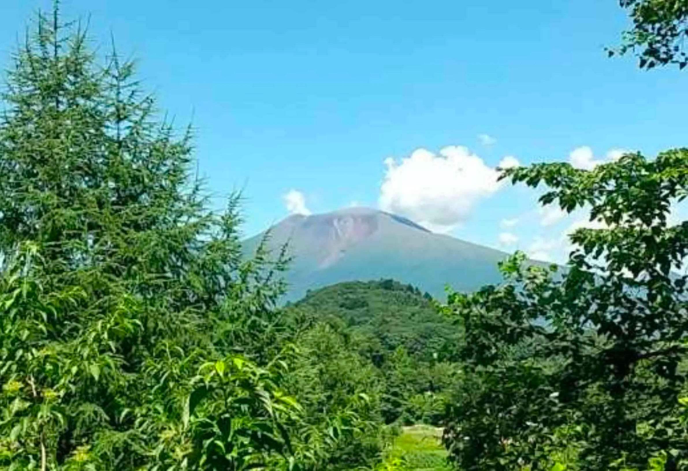 浅間山が望める環境です
