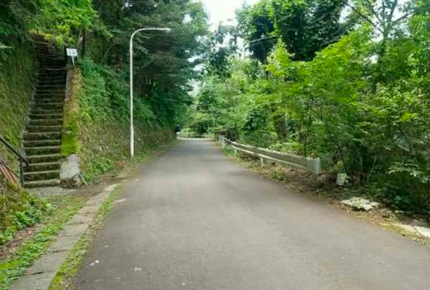 前面道路幅員約5Mで