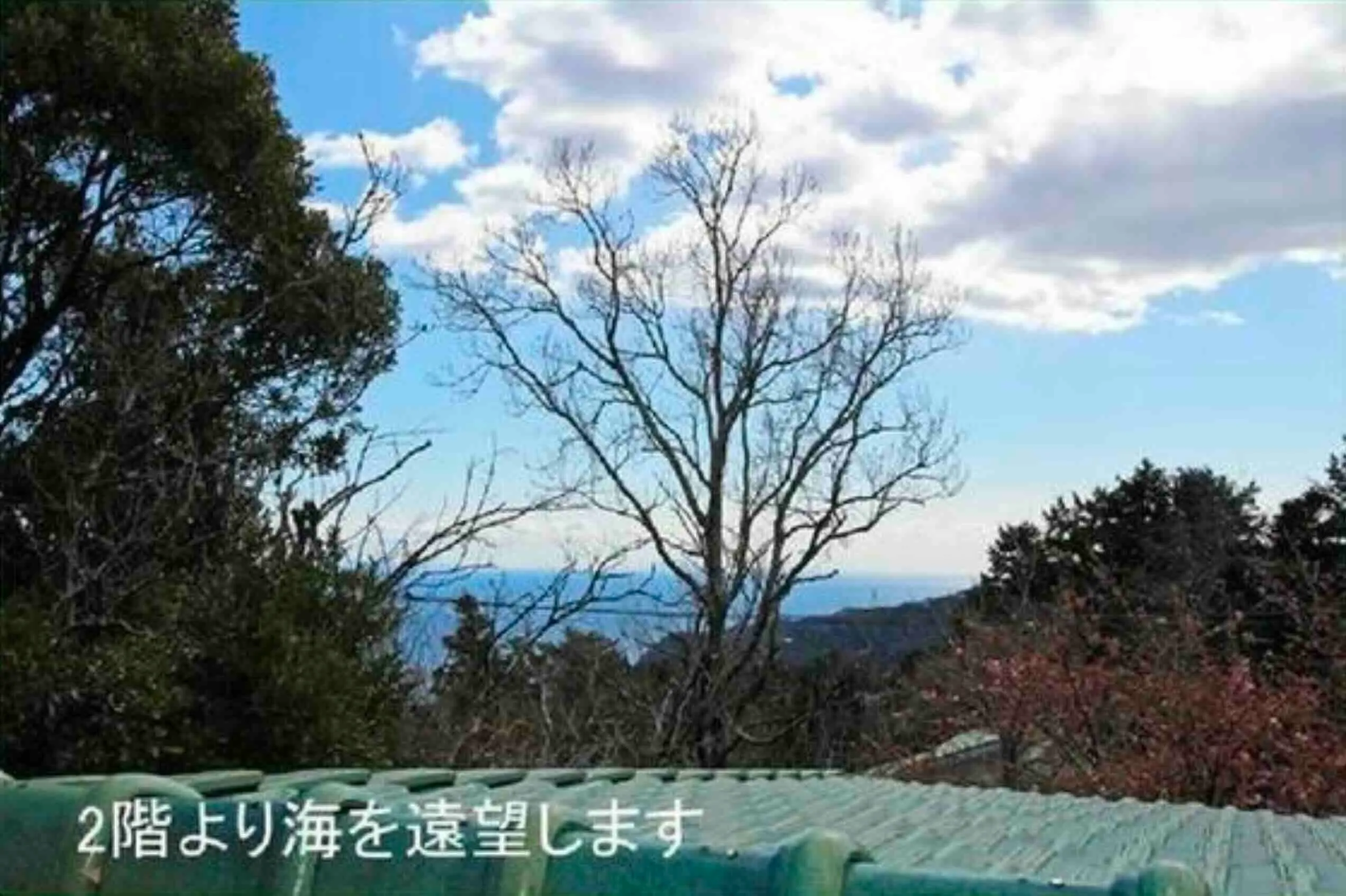 眺望 海を遠望できる