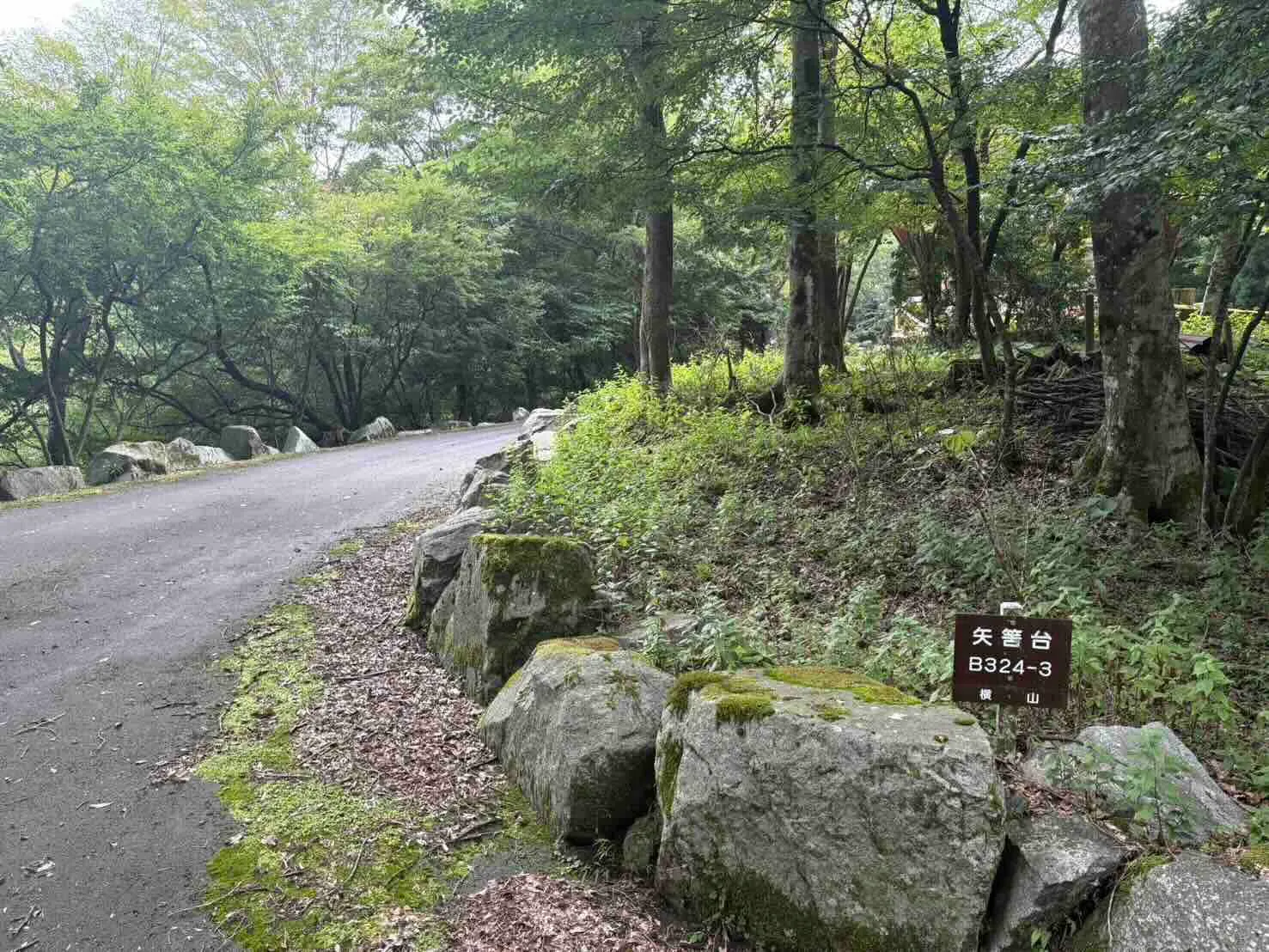 周囲は自然豊かな環境