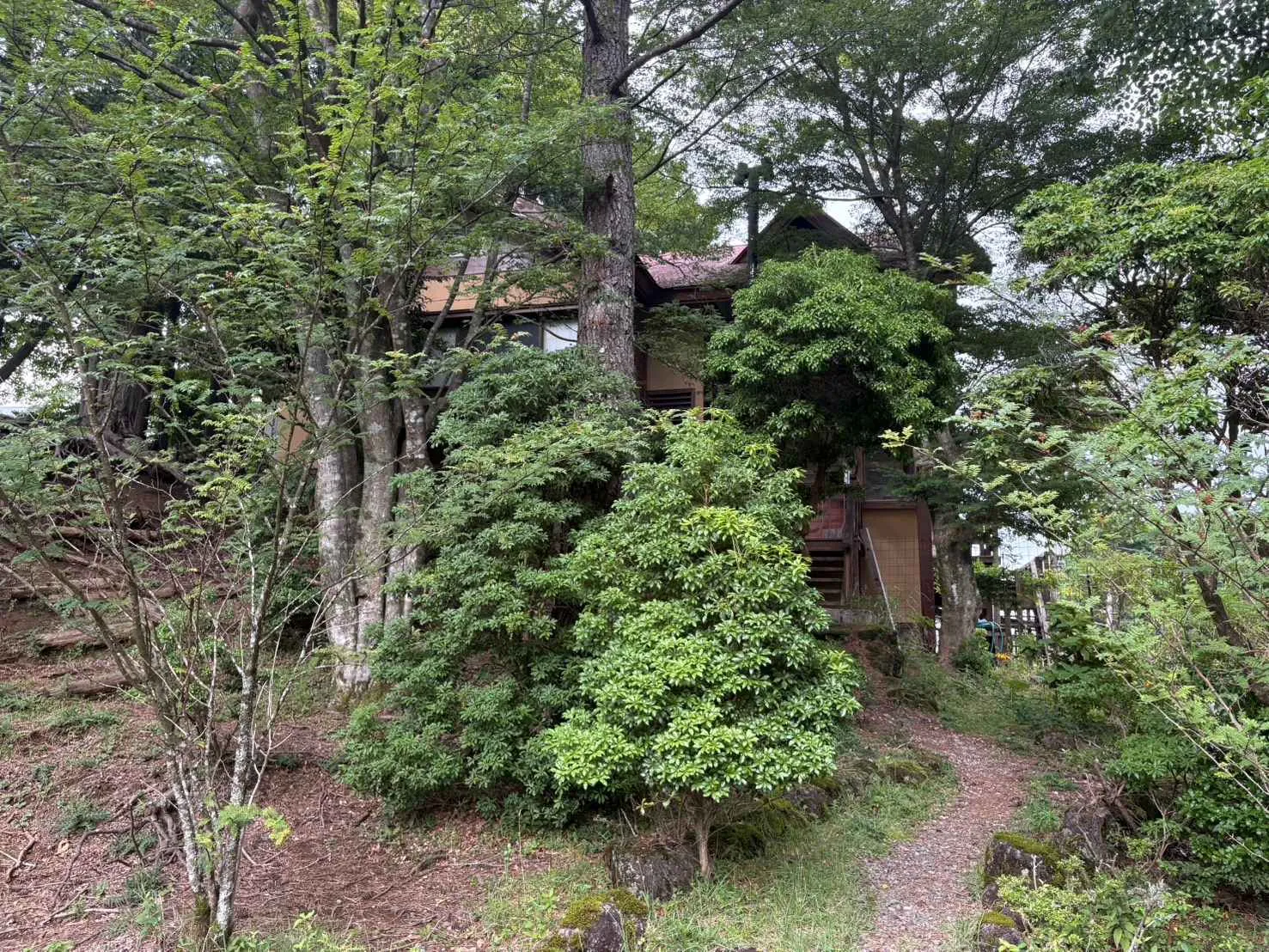 天城高原別荘地 338坪デッキ付き中古別荘平家建3LDK+ロフト 450万円｜昭和61年築の写真 3