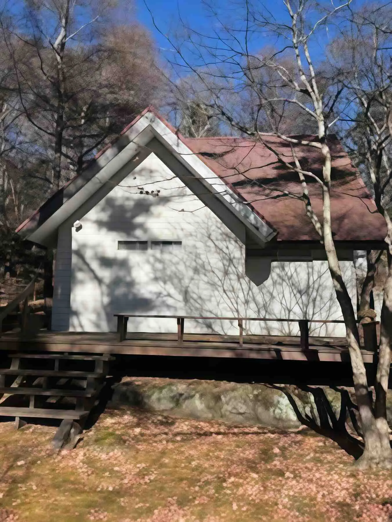 軽井沢町追分売別荘の外観