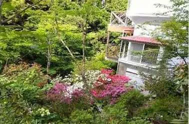 箱根春山荘2世帯別荘の外観2