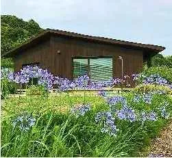 安房郡鋸南町戸建の外観2