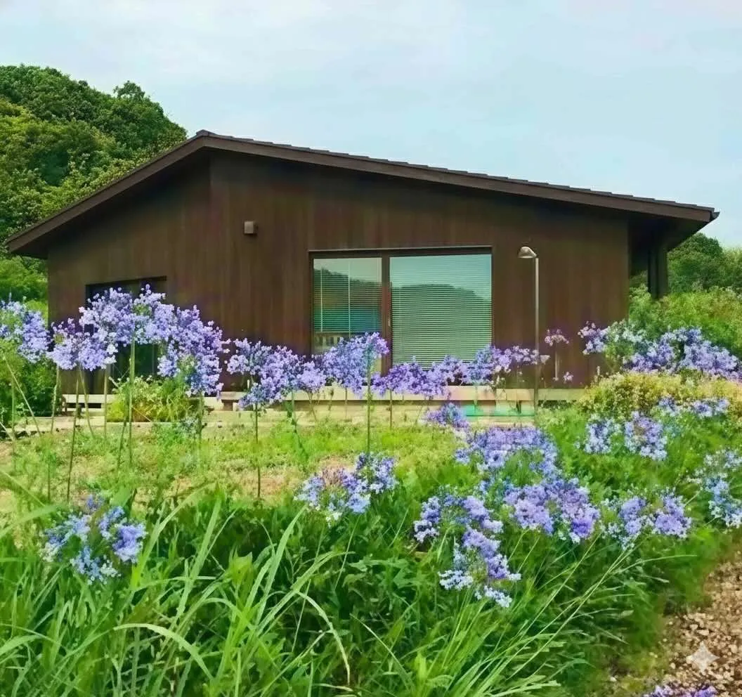 安房郡鋸南町戸建｜土間暖炉付318㎡野原・週末趣味拠点別荘民泊可の写真 3