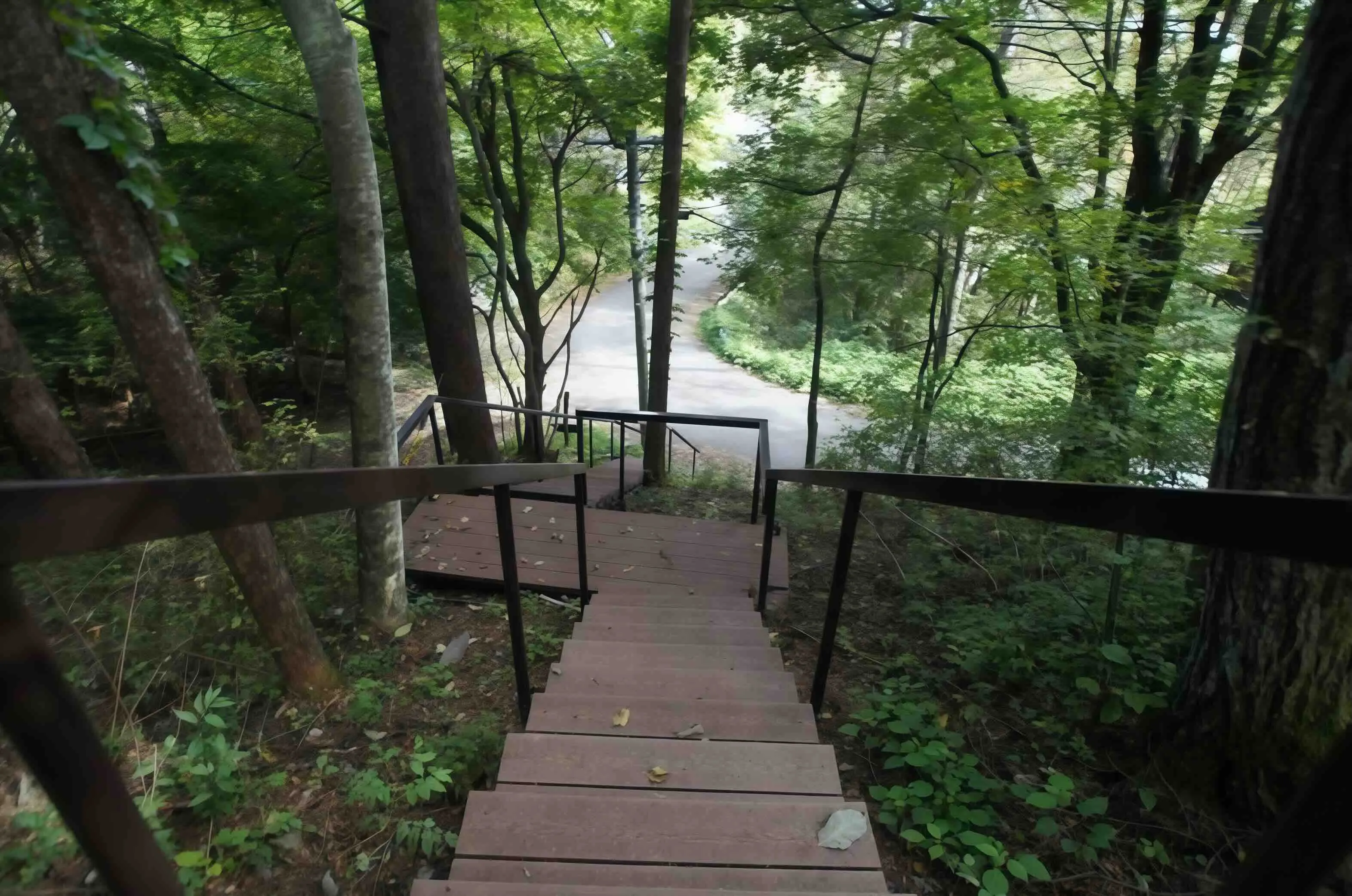 軽井沢三笠パーク内中古住宅の玄関