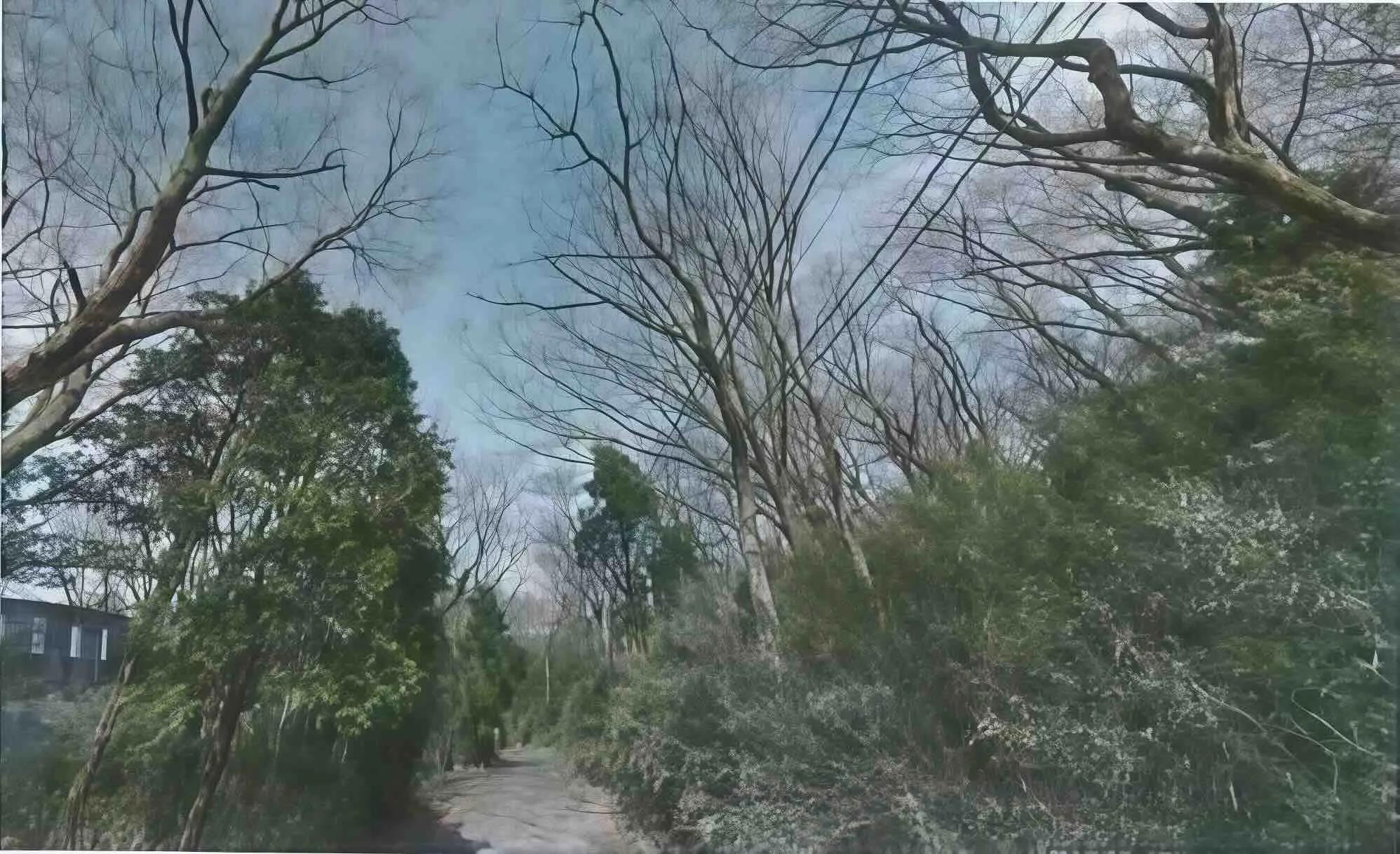 箱根町売地｜温泉供給証券付・小塚山眺望の温泉付別荘建設可