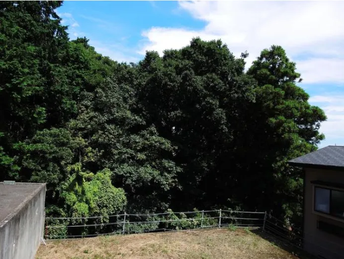 真鶴町真鶴売地の周辺2