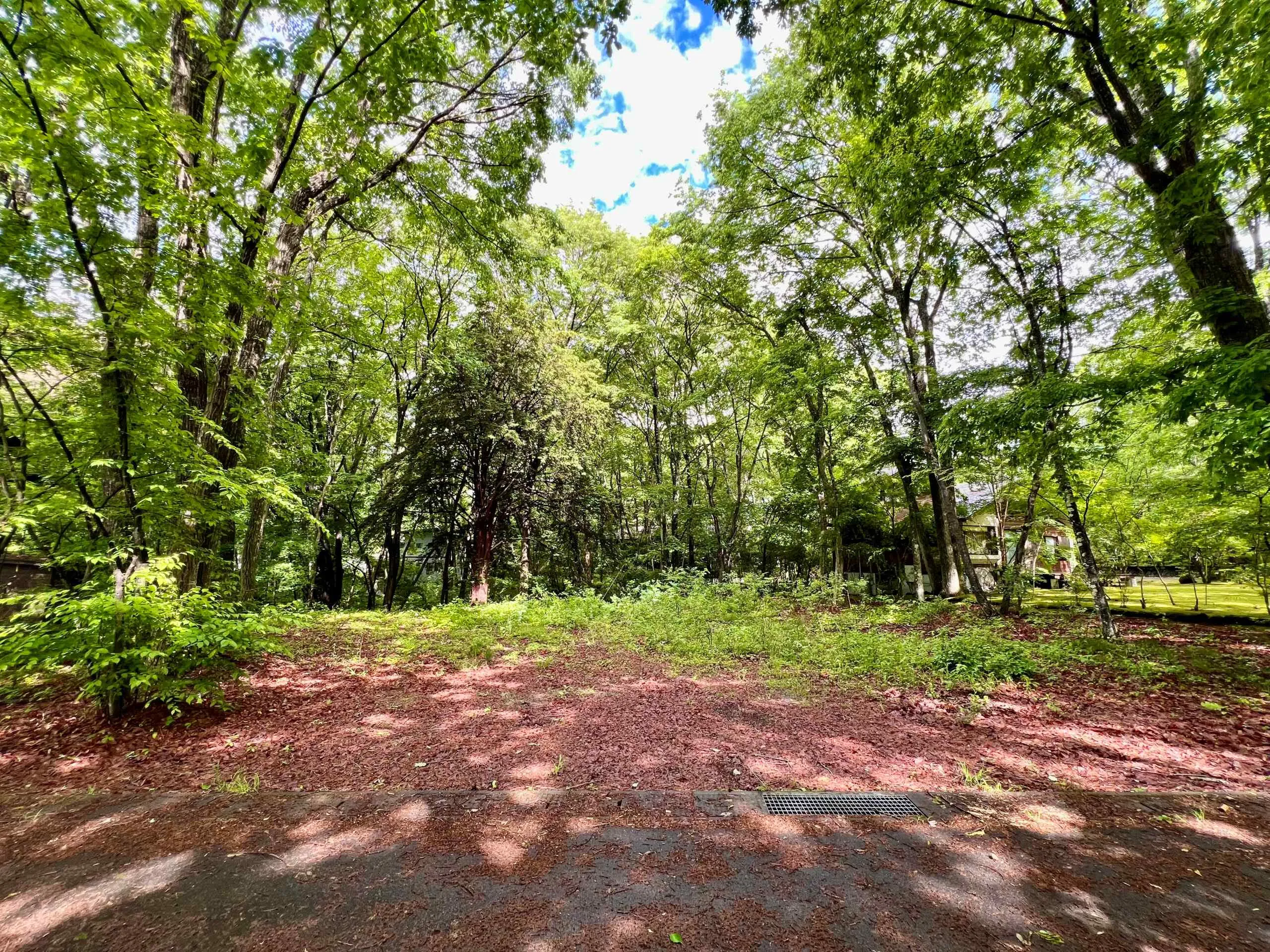 軽井沢・追分啓明別荘地｜追分エリア989㎡約300坪山林