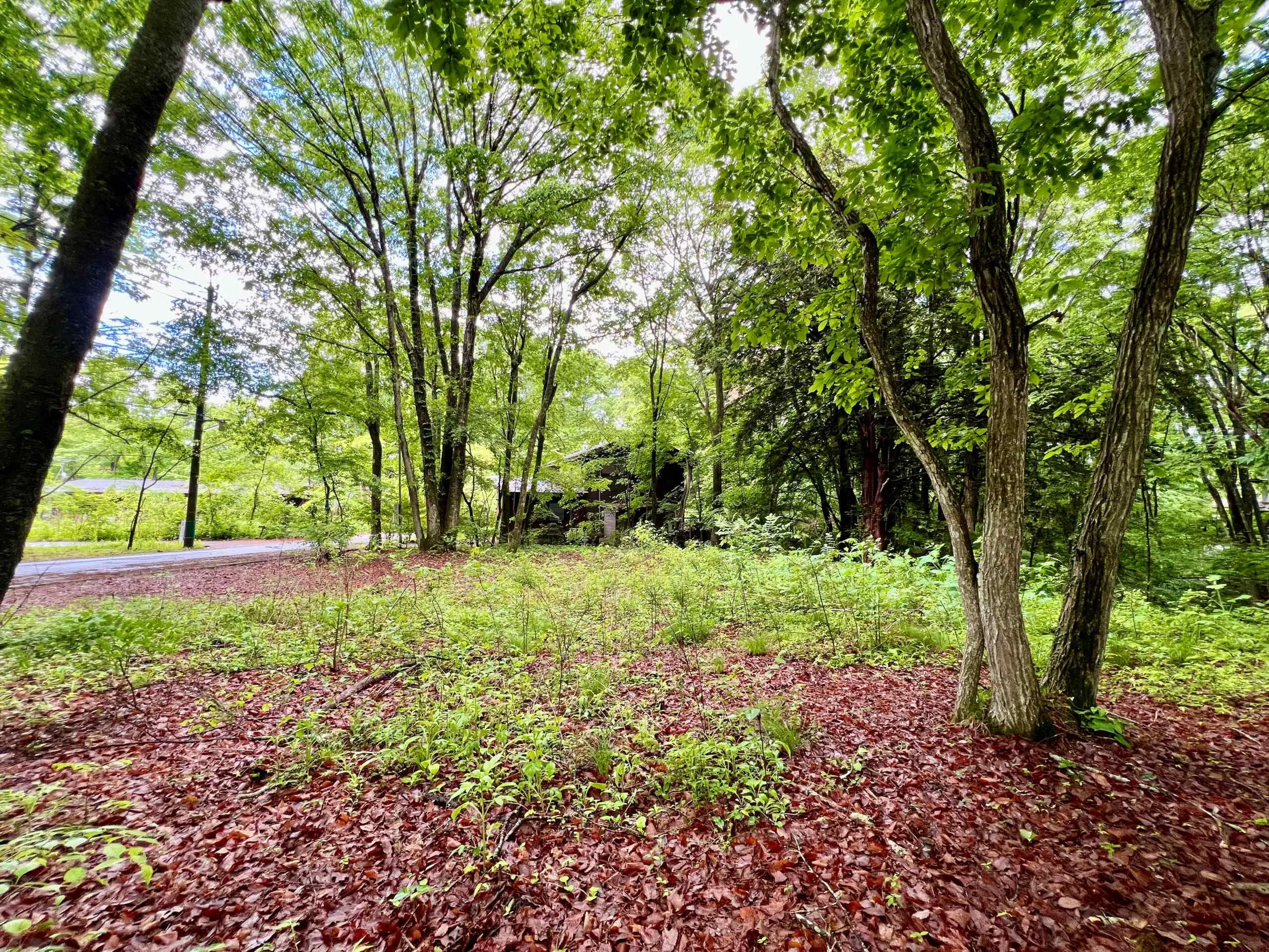 軽井沢・追分啓明別荘地の外観2