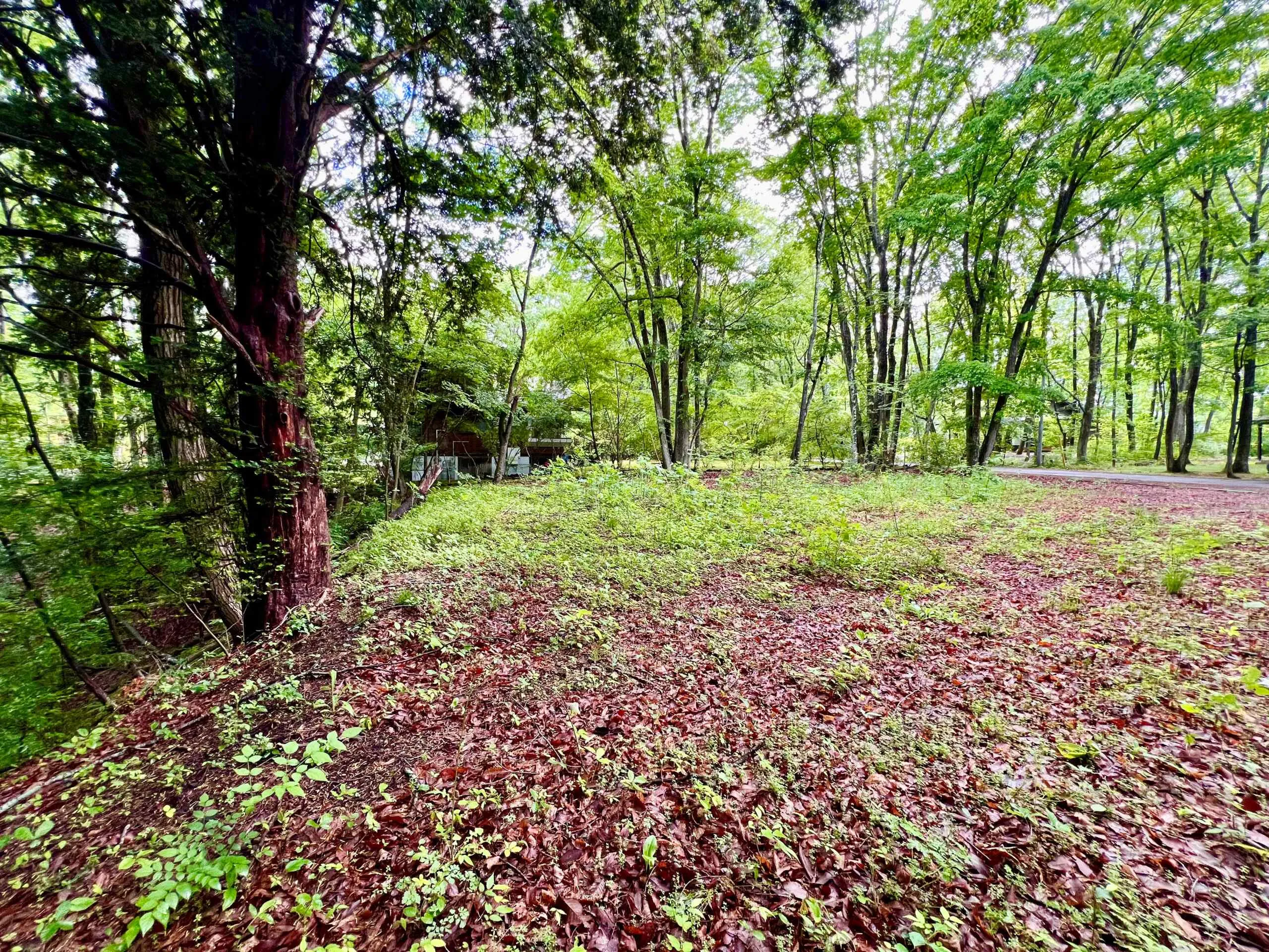 軽井沢・追分啓明別荘地の外観4